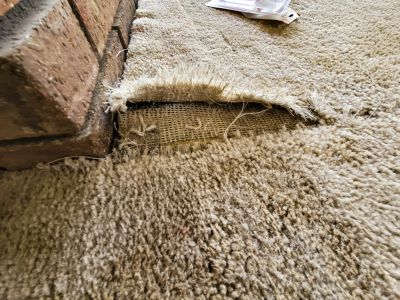Carpet Pet Damage Repair