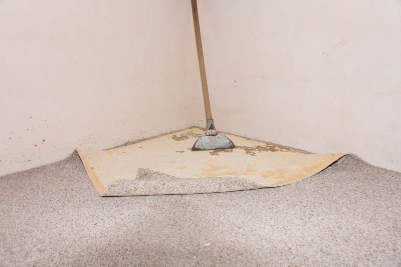 Carpet Repair Service in Alpharetta, GA