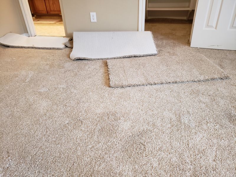 Carpet Repair Service in Olathe, KS