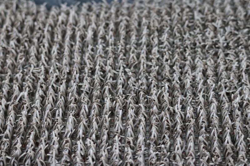 Commercial Carpet Repair in Kansas City, KS