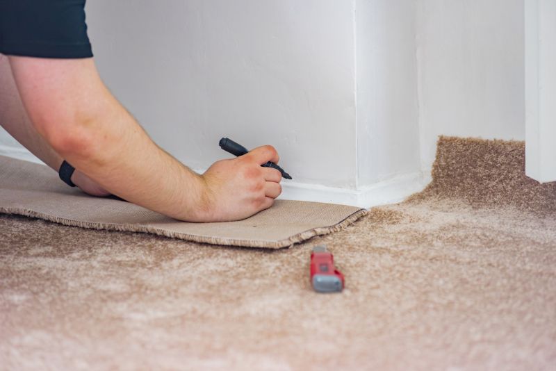 Carpet Pet Damage Repair detail