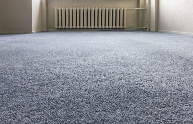 Pet Stain Carpet Repair in Overland Park, KS