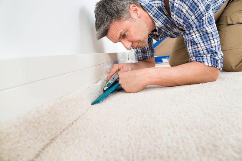 Contact About Carpet Pet Damage Repair